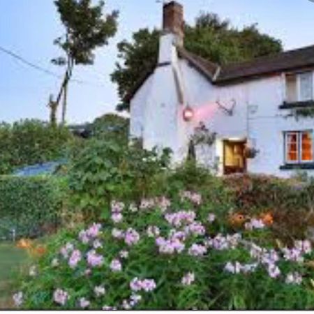 The Northmore Arms Throwleigh ภายนอก รูปภาพ